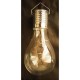 Lampa solara pentru gradina, tip bec, LED, 24 buc, 7.5x22 cm, Acrux 