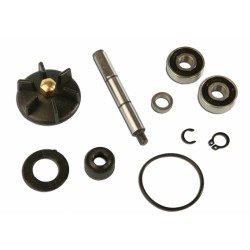KIT POMPA APA PIAGGIO TYPHOON 50 RA12005 KIT POMPA APA PIAGGIO TYPHOON 50 RA12005