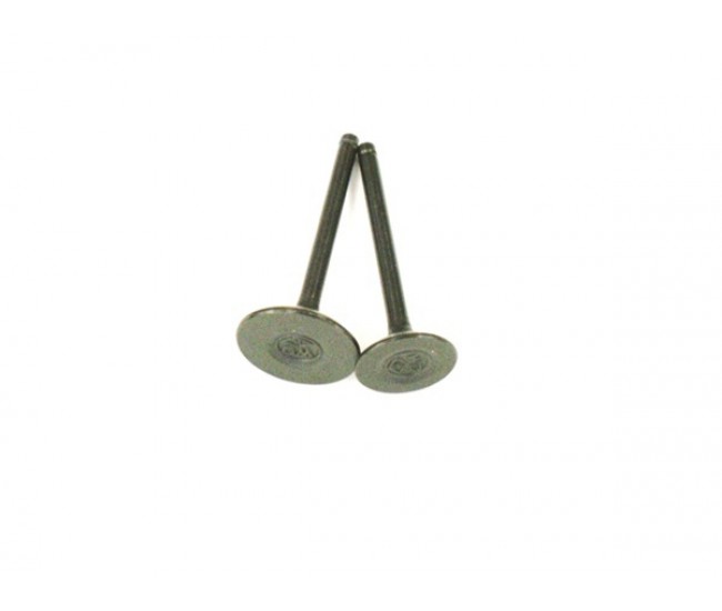 SET SUPAPE GY6 125 SET SUPAPE GY6 125