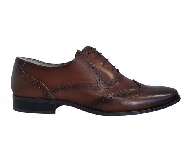 Pantofi barbati eleganti din piele naturala, cu siret, maro, 566M