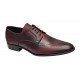 Pantofi eleganti barbati din piele naturala - Model Bordeaux 131