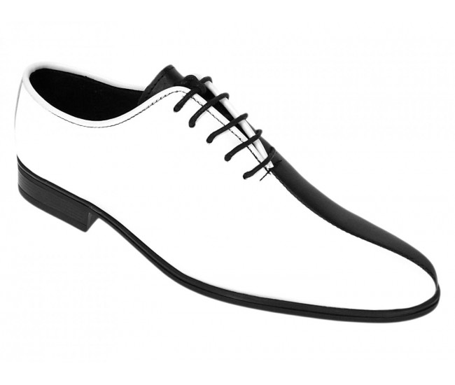 Pantofi barbati de ceremonie din piele naturala in doua culori Ciucaleti GKR137AN