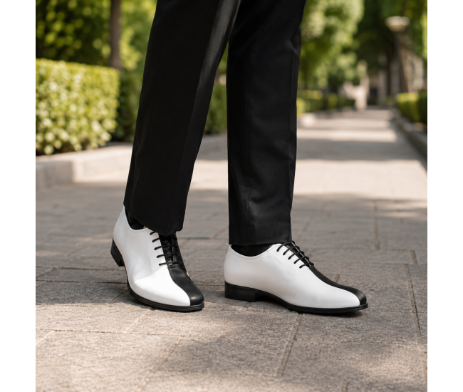 Pantofi barbati de ceremonie din piele naturala in doua culori Ciucaleti GKR137AN