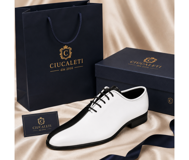 Pantofi barbati de ceremonie din piele naturala in doua culori Ciucaleti GKR137AN