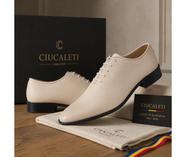 Pantofi barbati eleganti bej din piele naturala dintr-o bucata cu siret Havana GKR51TSB