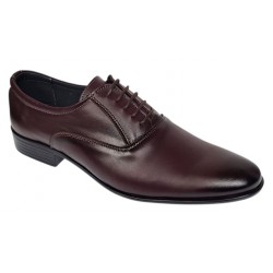 Pantofi barbati eleganti din piele naturala Bordeaux GKR802VIS