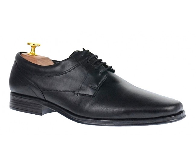 Pantofi barbati eleganti din piele naturala - Marimea 41 04NS
