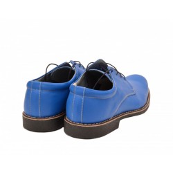 Oferta marimea 40 - Pantofi barbati, albastri, model elegant, din piele naturala - LP81BLX