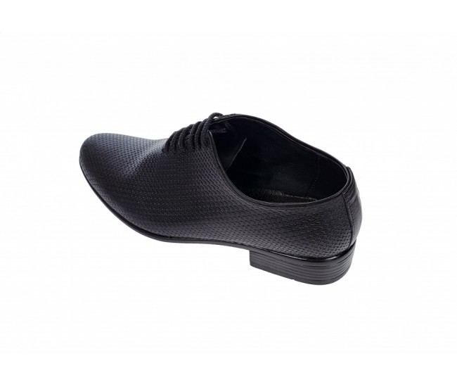 Oferta marimea 40 - Pantofi barbati eleganti din piele naturala matritata, - LSTD120TXN