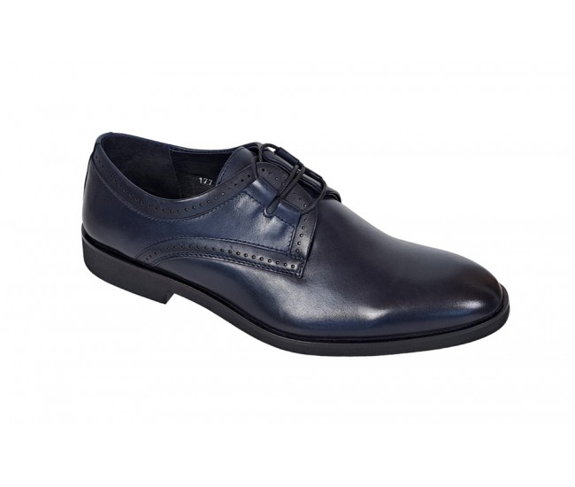 Pantofi eleganti pentru barbati, din piele naturala, bleumarin, Alexander Rome TEST177BL