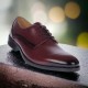 Pantofi barbati, eleganti, piele naturala, Bordeaux, ALEXANDER - 990VIS