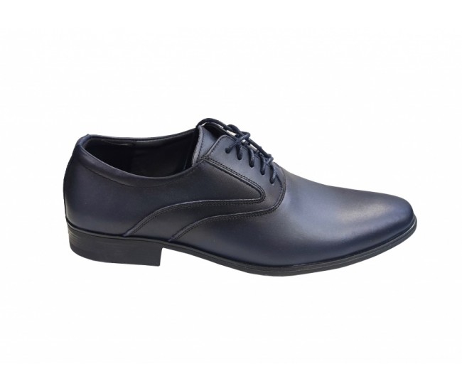 Pantofi barbati eleganti, din piele naturala, Bleumarin, TEST29