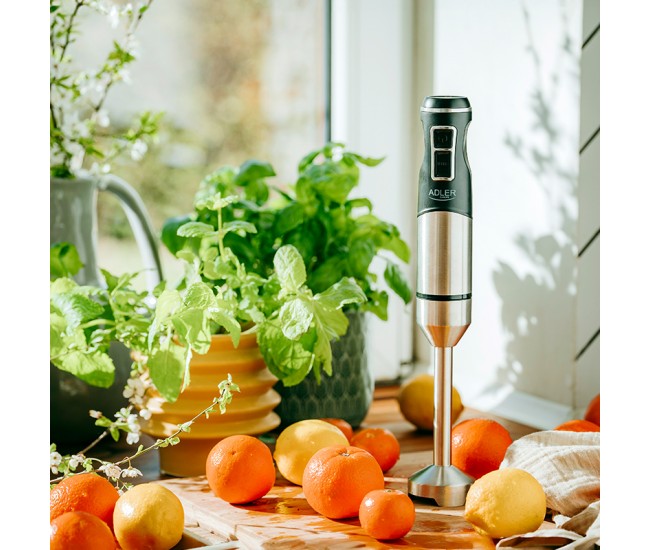 BLENDER MANA 1900W AD 4628 ADLER 