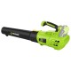 SUFLANTA FRUNZE ACUMULATOR 20V FIELDMANN 
