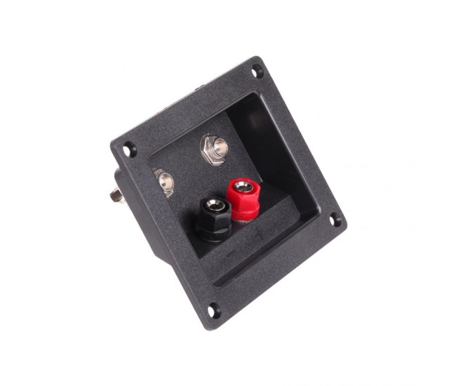 CONECTOR BOXA 2 BANANA + 2 JACK 