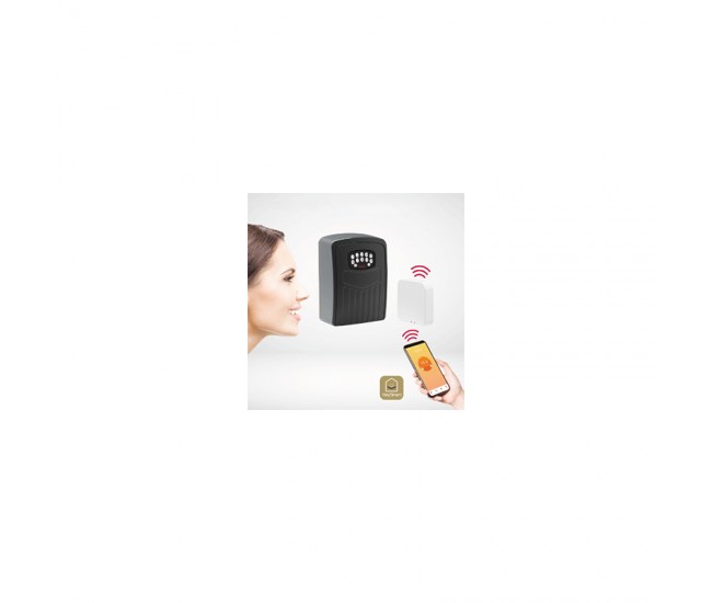 SMART BLUETOOTH SAFETY BOX GATEWAY ISNATCH 