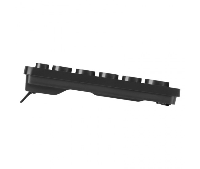 KIT TASTATURA SI MOUSE CU FIR WDS200 REBEL 