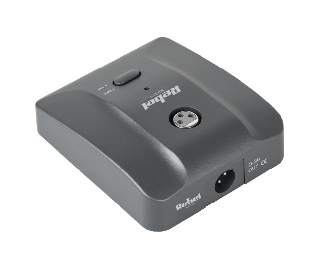 MICROFON D-30 STATIV 54CM 