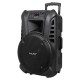 SISTEM AUDIO PORTABIL SD BLUETOOTH USB 15 INCH 60W 