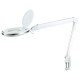 LAMPA LED CU LUPA 10W 6500K 