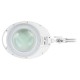 LAMPA LED CU LUPA 10W 6500K 
