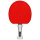 SET TENIS DE MASA PING PONG REBEL ACTIVE 