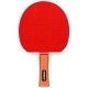SET TENIS DE MASA PING PONG REBEL ACTIVE 