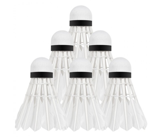 SET 6 MINGI BADMINTON REBEL ACTIVE 