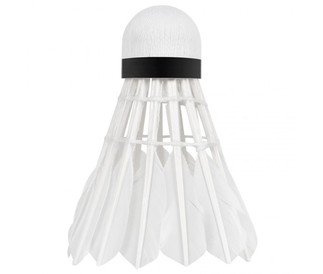 SET 6 MINGI BADMINTON REBEL ACTIVE 