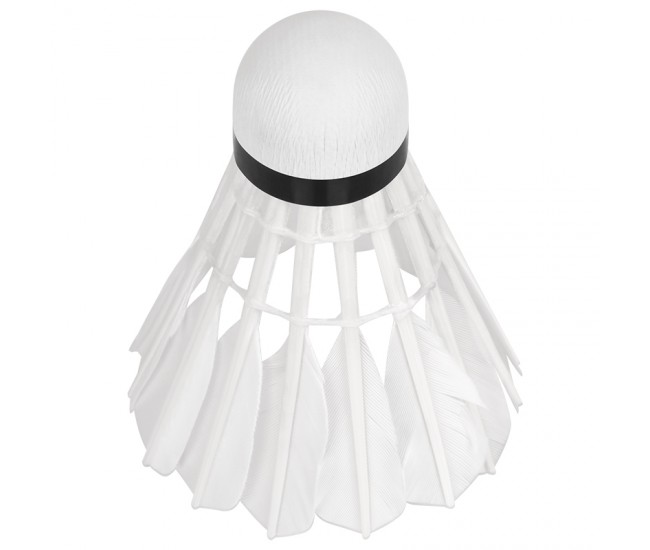 SET 6 MINGI BADMINTON REBEL ACTIVE 