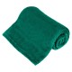 PATURA FLEECE POLAR 150X200CM VERDE TEESA 