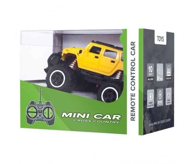 MINI RC CAR SUV 