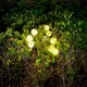 LAMPA LED SOLARA DECORATIVA REBEL 
