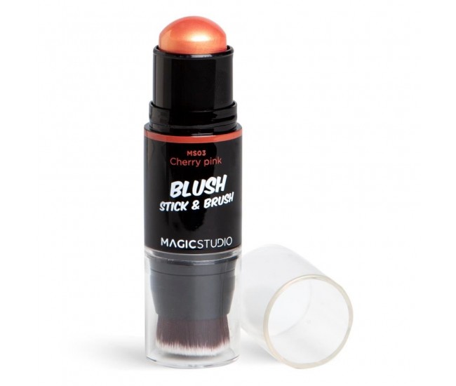 Blush cu pensula AQ-50581