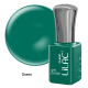 Oja semipermanenta Lilac BASIC 06 Green