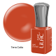 Oja semipermanenta Lilac BASIC 10 terracotta