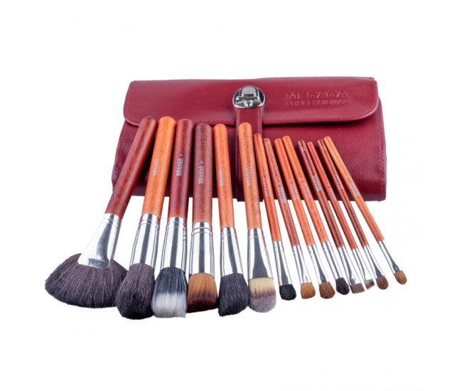 Set 22 pensule makeup Megaga cu husa visinie
