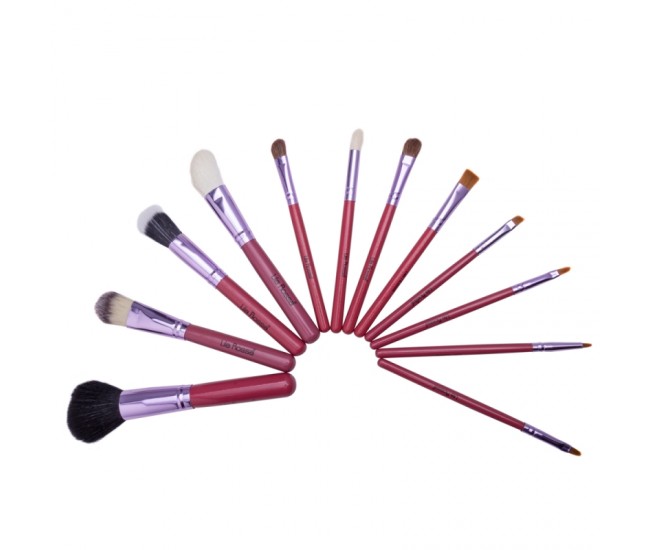 Set pensule makeup, Lila Rossa, in tub roz, 12 buc