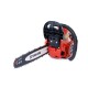 Drujba silen 5800 profesional fara lant