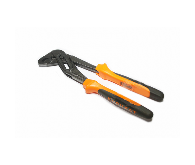 Papagal model nou (6pcs) Papagal model nou (6pcs)