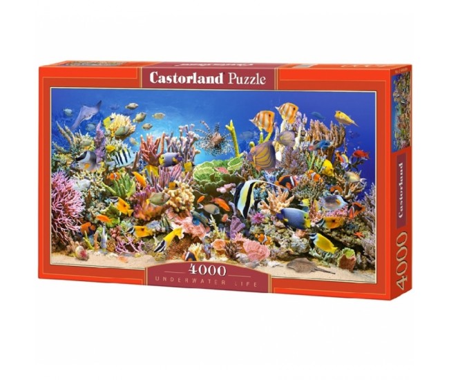 Puzzle 4000 Pcs - Castorland