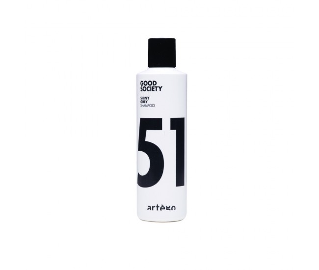 Artego good society - shiny grey 250ml sampon cu efect argintiu Artego good society - shiny grey 250ml sampon cu efect argintiu