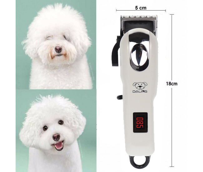harm tent undertake Masina de tuns caini, bichon, shi-tzu, etc, aparat profesional de tuns animale cu display, Daling 220V - 12W DLD77B - BravoShop.ro harm tent undertake Masina de tuns caini, bichon, shi-tzu, etc, aparat profesional de tuns animale cu display, Daling 220V - 12W DLD77B - BravoShop.ro